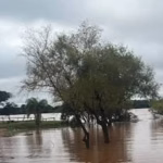 Crece la preocupación en la costa del río Uruguay: evacuaciones en Concordia y alerta en varias ciudades entrerrianas